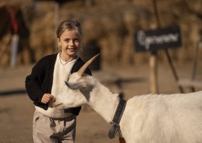curtea lipovenesc ferma traditionala