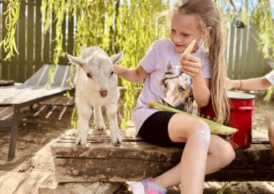 curtea lipovenesc ferma traditionala