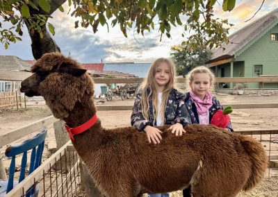 gospodarie traditionala Jurilovca - alpaca