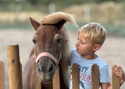 curtea lipovenesc ferma traditionala
