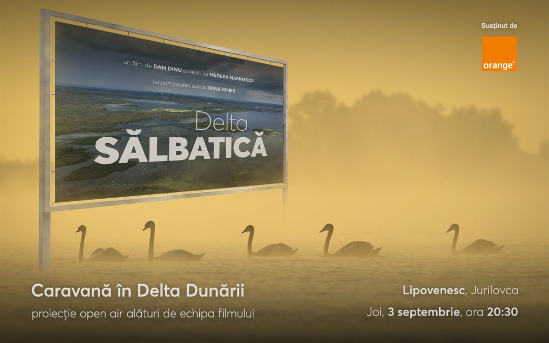 Caravana Delta Sălbatică în curtea Lipovenesc din Jurilovca | Proiecție de film