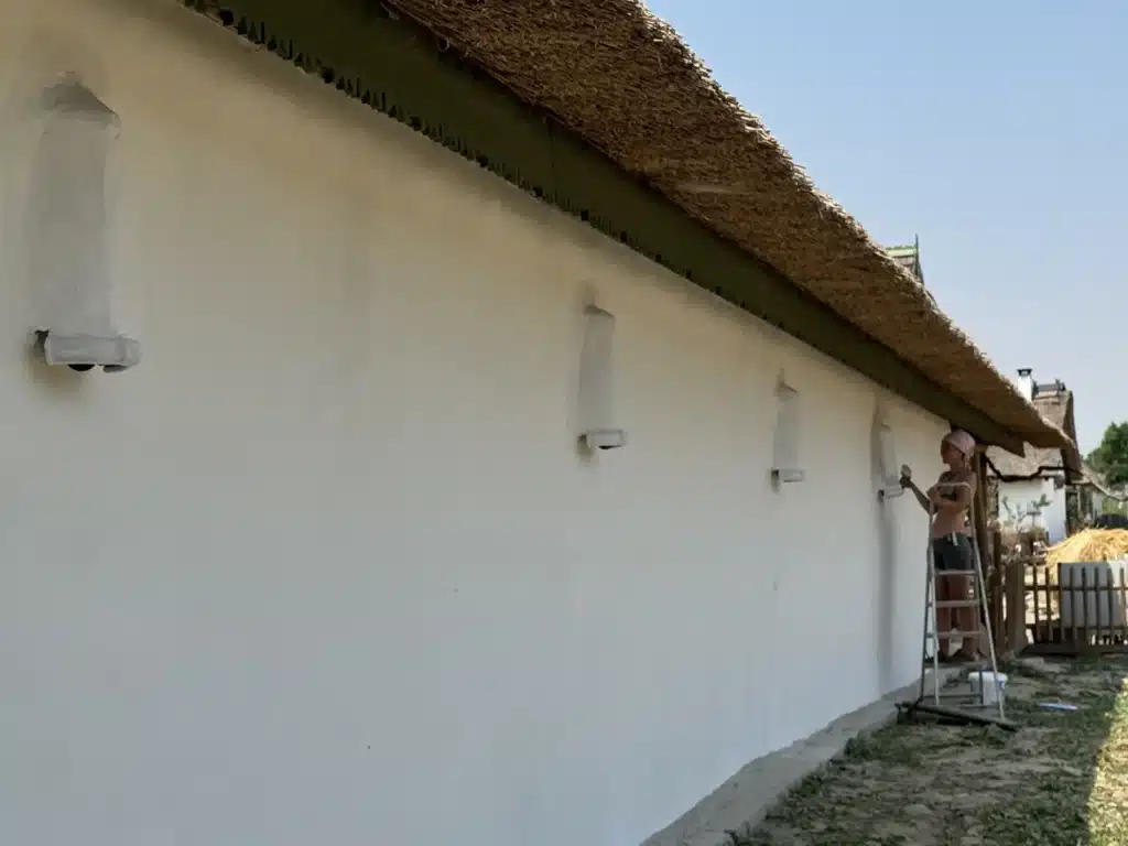 Peretele lung al casei vechi din 1893 proaspăt văruit în alb, cu un meșter pe scară refăcând ornamentele de sub streașina de stuf