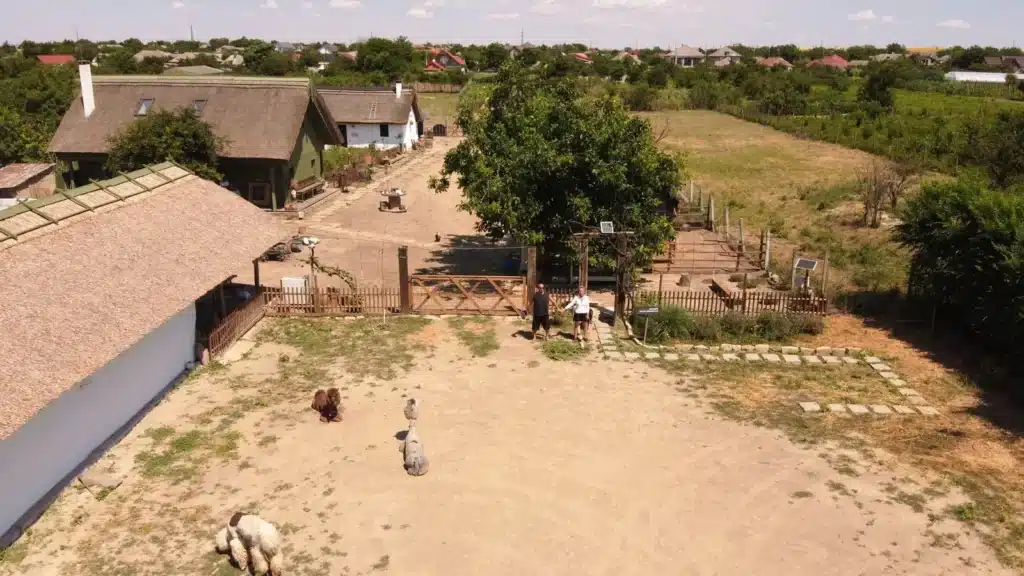 Curtea Fermei Lipovenesc din Jurilovca văzută din dronă în 2026, cu casa veche cu acoperiș de stuf, animale în curte și Marian și Daniela Sterea ținându-se de mână