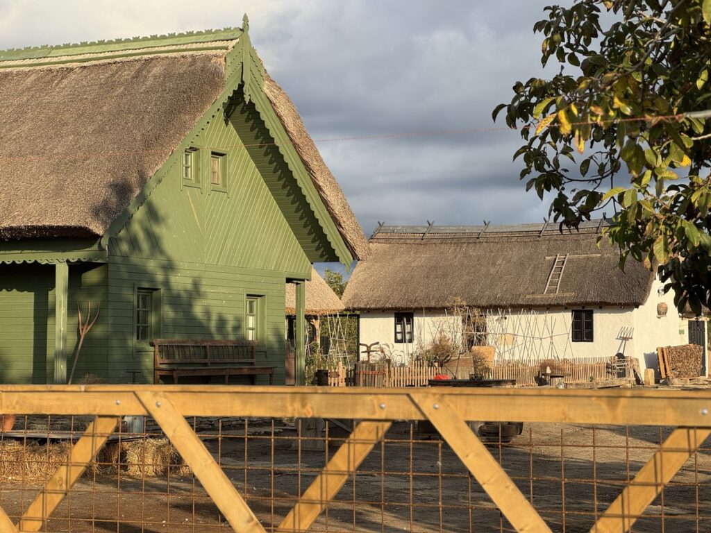 Casa verde nouă și casa albă cu acoperiș de stuf din curtea Fermei Lipovenesc, acoperișuri făcute de meșterul stufar Dobrin Tănase