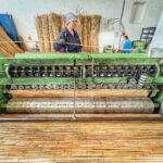 Rogojină din stuf ieșind din mașina veche a fabricii lui Dobrin Tănase, cu o lucrătoare care așază stuful