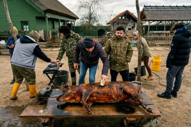 Pomana porcului de Ignat – Gastronomie la Ferma Lipovenesc